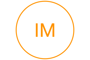 INTERIM MANAGEMENT